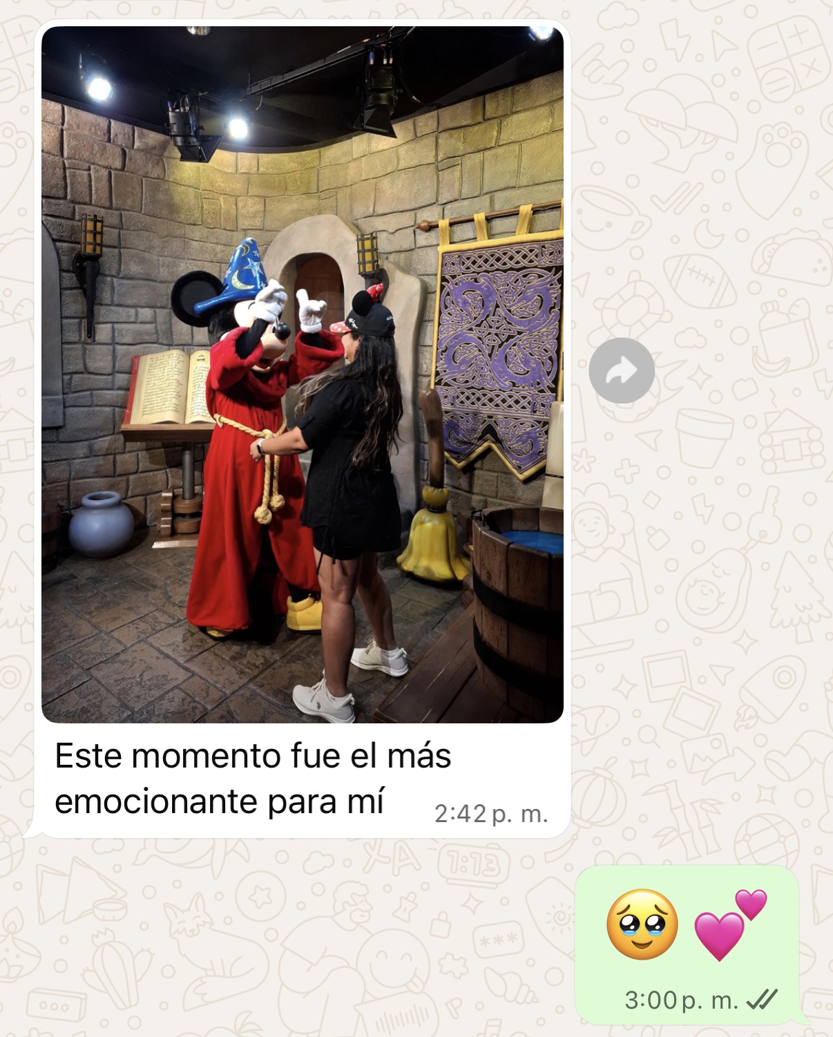 Clientes en Walt Disney World