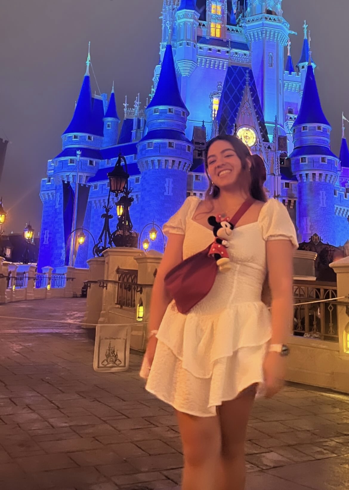 Magic Kingdom